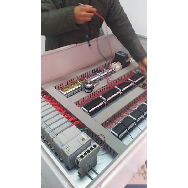 Servicios en migración